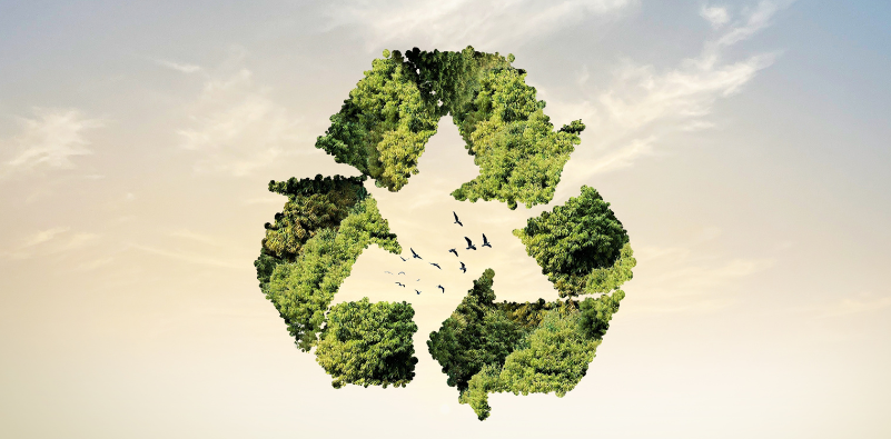 Recycle icon against a cloudy sky, with birds flying through the center.