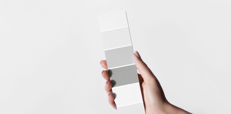 Palette catalog of New trending PANTONE Cloud Dancer color of 2026 year